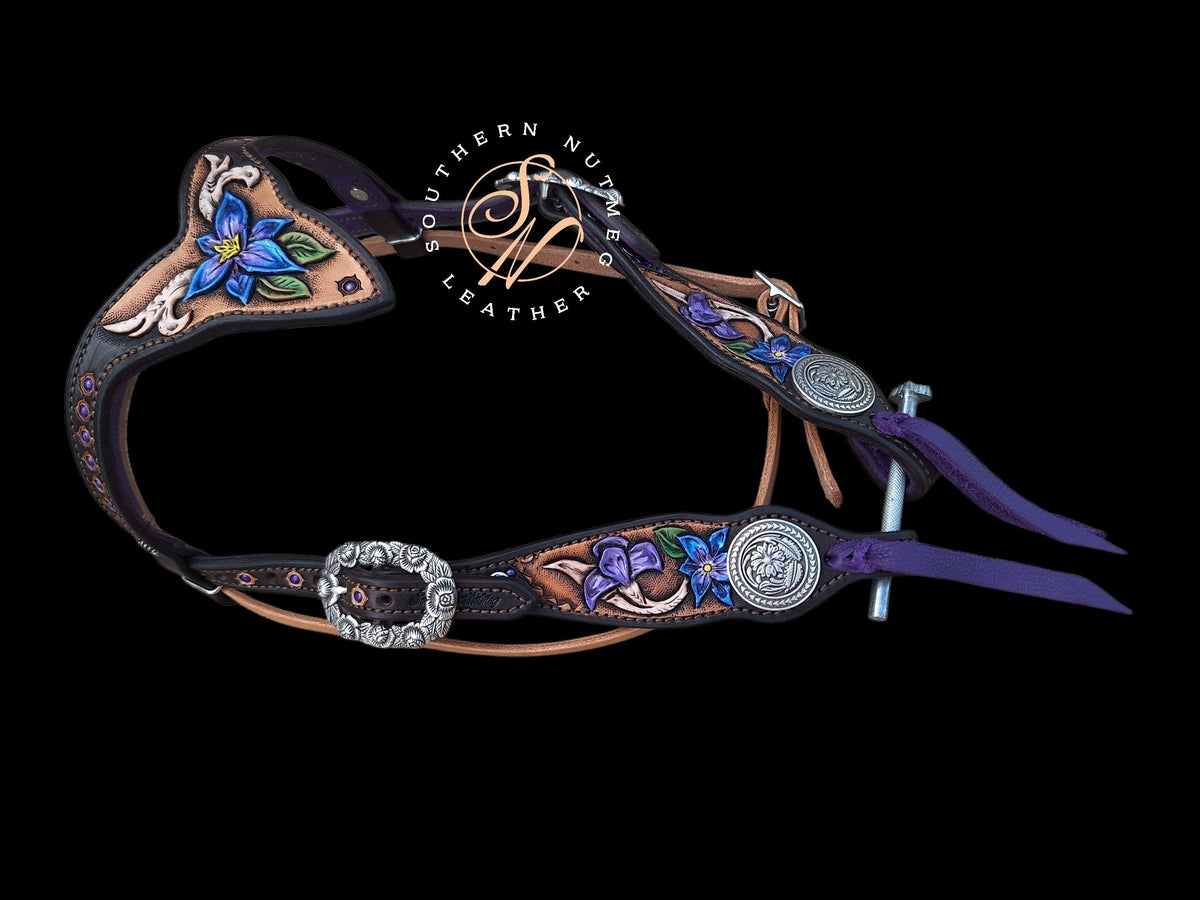 Riding Horse Tack