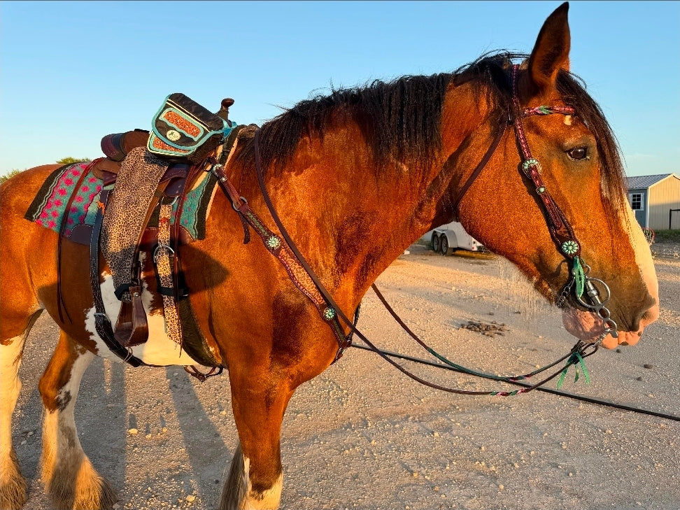 Draft Horse Tack