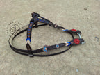 Red, Cream and Blue Futurity Knot Browband Headstall
