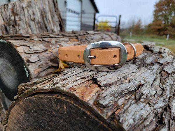 Handcrafted Harness Leather Dog Collar