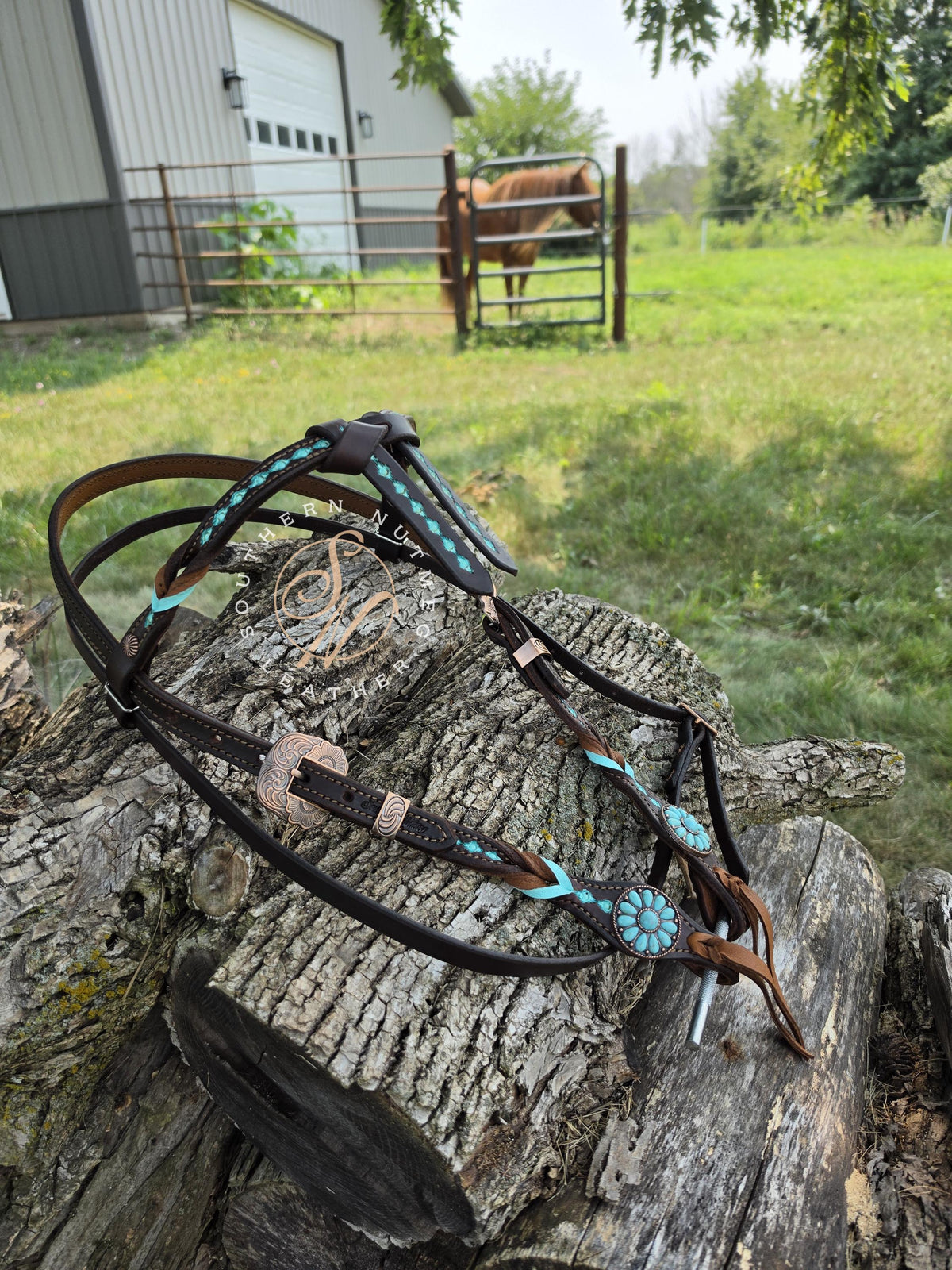 Small Draft Size Aztec Tooled Futurity Knot Browband Headstall