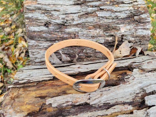 Handcrafted Harness Leather Dog Collar