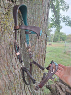 Chocolate and Turquoise Ergonomic Carved Side-Pull Headstall