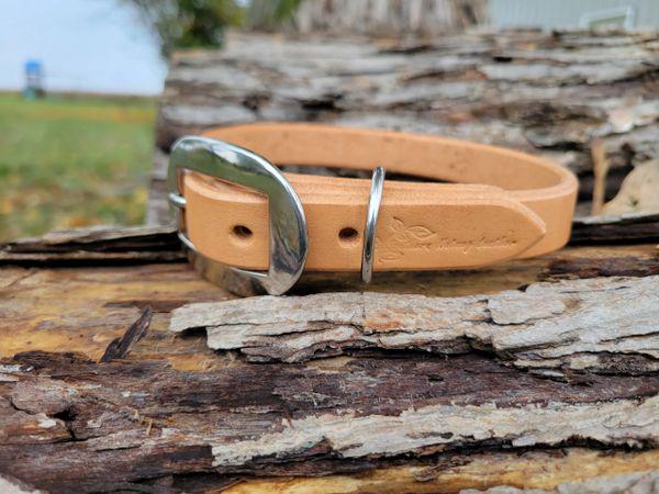 Handcrafted Harness Leather Dog Collar